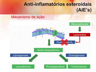 Anti-inflamatórios esteroidais
(AIE’s)
Mecanismo de ação
 