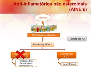 Anti-inflamatórios não esteroidais
(AINE’s)
Estímulo
Membrana fosfolipídica
Ácido araquidônico
Fosfolipase A2
Ciclooxigenases
COX 1 e COX2
Lipoxigenase
LOX
Leucotrienos
Prostaglandinas
Prostaciclinas
Tromboxano A2
 