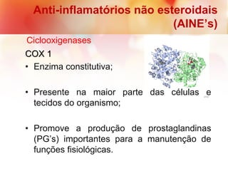 COX 1
• Enzima constitutiva;
• Presente na maior parte das células e
tecidos do organismo;
• Promove a produção de prostaglandinas
(PG’s) importantes para a manutenção de
funções fisiológicas.
Anti-inflamatórios não esteroidais
(AINE’s)
Ciclooxigenases
 