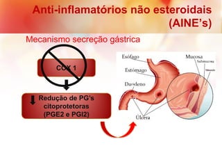 Anti-inflamatórios não esteroidais
(AINE’s)
Mecanismo secreção gástrica
COX 1
Redução de PG’s
citoprotetoras
(PGE2 e PGI2)
 