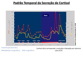 Padrão Temporal da Secreção de Cortisol
 