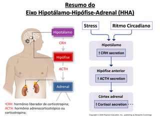 Hipófise
Hipotálamo
Adrenal
•CRH: hormônio liberador de corticotropina;
ACTH: hormônio adrenocorticotrópico ou
corticotropina;
Ritmo Circadiano
Stress
Hipotálamo
Hipófise anterior
Córtex adrenal
CRH
ACTH
Resumo do
Eixo Hipotálamo-Hipófise-Adrenal (HHA)
 
