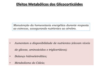 • Aumentam a disponibilidade de nutrientes (elevam níveis
de glicose, aminoácidos e triglicerídeos);
• Balanço hidroeletrolítico;
• Metabolismo do Cálcio;
Efeitos Metabólicos dos Glicocorticóides
Manutenção da homeostasia energética durante resposta
ao estresse, assegurando nutrientes ao cérebro.
 