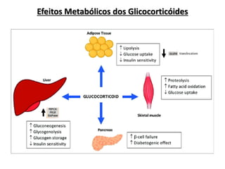 Efeitos Metabólicos dos Glicocorticóides
 