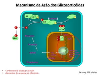 CBG
S
GR*
GR
Hsp90
Hsp90
x
GR
S
S R*
S R*
S
GR*
S
S
S
DNA
ERG
(Instável)
Resposta
Proteína
mRNA
Maquinária
de transcrição
(polimerase do
RNA, etc)
Citoplasma
Núcleo
Pré-
mRNA
• Corticosteroid-binding Globulin
• Elementos de resposta do glicocortc. Katzung, 12ª edição.
Mecanismo de Ação dos Glicocorticóides
 