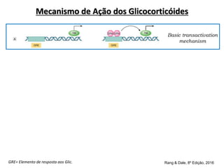 Basic transactivation
mechanism
Basic transrepression
mechanism
Fos/Jun mechanism
Nuclear factor κB
mechanism
Rang & Dale, 8º Edição, 2016
GRE= Elemento de resposta aos Glic.
Mecanismo de Ação dos Glicocorticóides
 