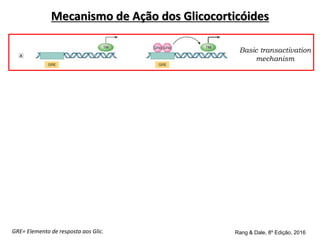 Basic transactivation
mechanism
Basic transrepression
mechanism
Fos/Jun mechanism
Nuclear factor κB
mechanism
Rang & Dale, 8º Edição, 2016
GRE= Elemento de resposta aos Glic.
Mecanismo de Ação dos Glicocorticóides
 