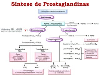 Síntese de Prostaglandinas
 