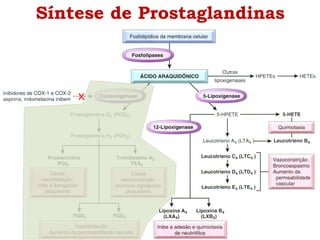 Síntese de Prostaglandinas
 