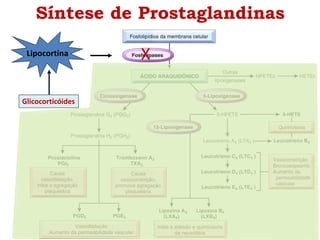 Lipocortina X
Glicocorticóides
Síntese de Prostaglandinas
 
