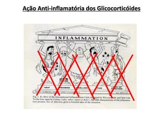 Ação Anti-inflamatória dos Glicocorticóides
 