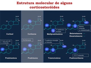 Estrutura molecular de alguns
corticosteróides
C O
C O
OH
OH
CH
CH2
2 OH
OH
HO
HO
Cortisol
Cortisol
OH
OH
CH
CH2
2 OH
OH
C O
C O
O
O
Cortisona
Cortisona
OH
OH
CH
CH2
2 OH
OH
C O
C O
HO
HO
Prednisolona
Prednisolona
OH
OH
CH
CH2
2 OH
OH
C O
C O
Prednisona
Prednisona
O
O
OH
OH
CH
CH2
2 OH
OH
C O
C O
HO
HO
Metilprednisolona
Metilprednisolona Betametasona
Betametasona
Dexametasona
Dexametasona
OH
OH
CH
CH2
2 OH
OH
C O
C O
HO
HO
Triamcinolona
Triamcinolona
OH
OH
CH
CH2
2 OH
OH
C O
C O
HO
HO
Fludrocortisona
Fludrocortisona
O
O
CH
CH3
3
OH
OH
CH
CH2
2 OH
OH
C O
C O
HO
HO
CH
CH3
3
F
F
OH
OH
F
F F
F
O
O
O
O
O
O
O
O
O
O
↑ ativ anti-infl.
↓ mineralo.
↑ potência e duração
↓ mineralo.
Pró-fármacos
Elimina
mineralo.
↓ metabolização
↑ potência e
duração.
↑↑↑ mineralo.
 