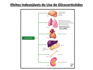 Efeitos Indesejáveis do Uso de Glicocorticóides
Netter Illustrated Pharmacology
Beclometasona –
asma; DPOC
 