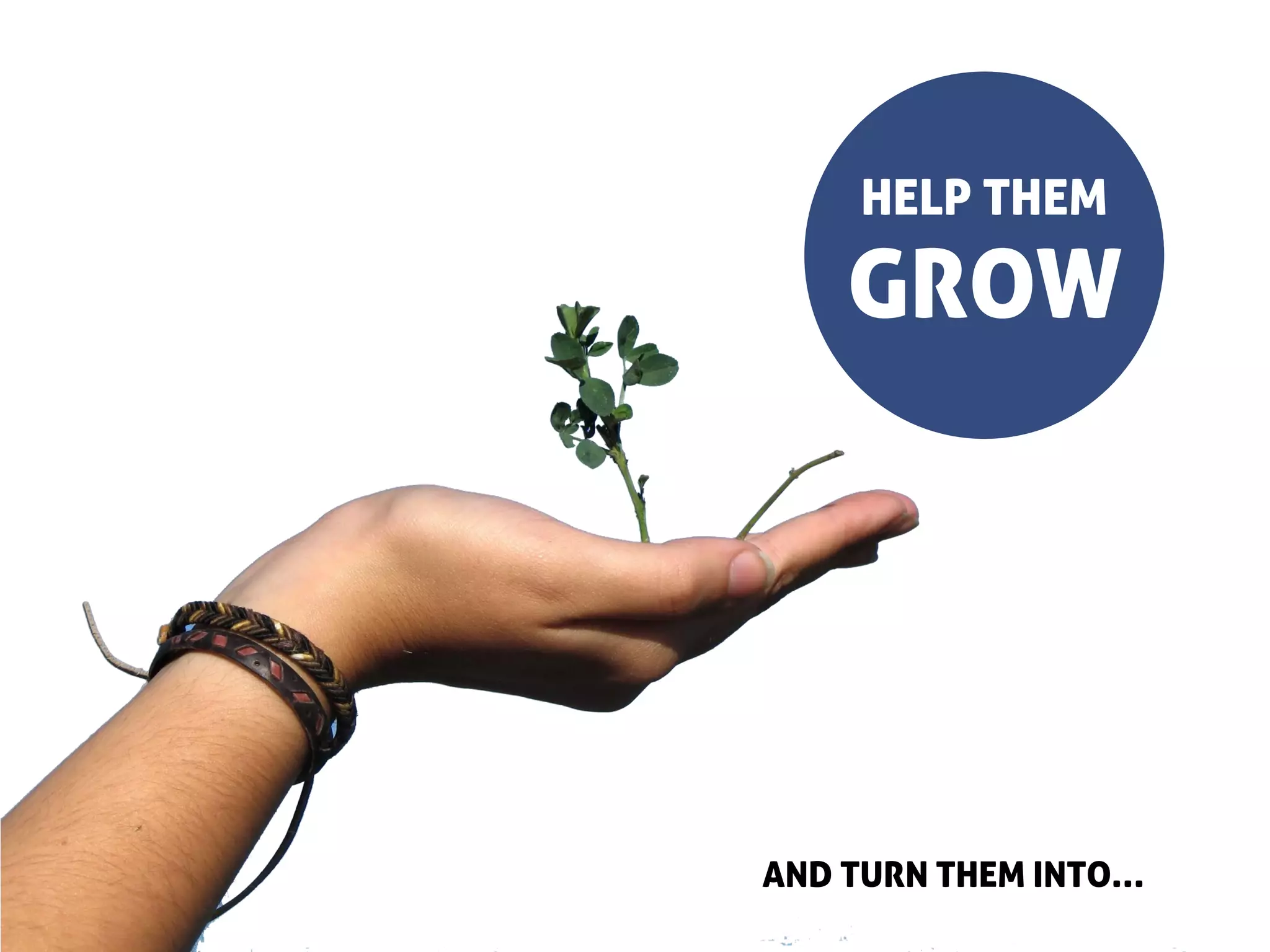 HELP THEM

    GROW




AND TURN THEM INTO…
 