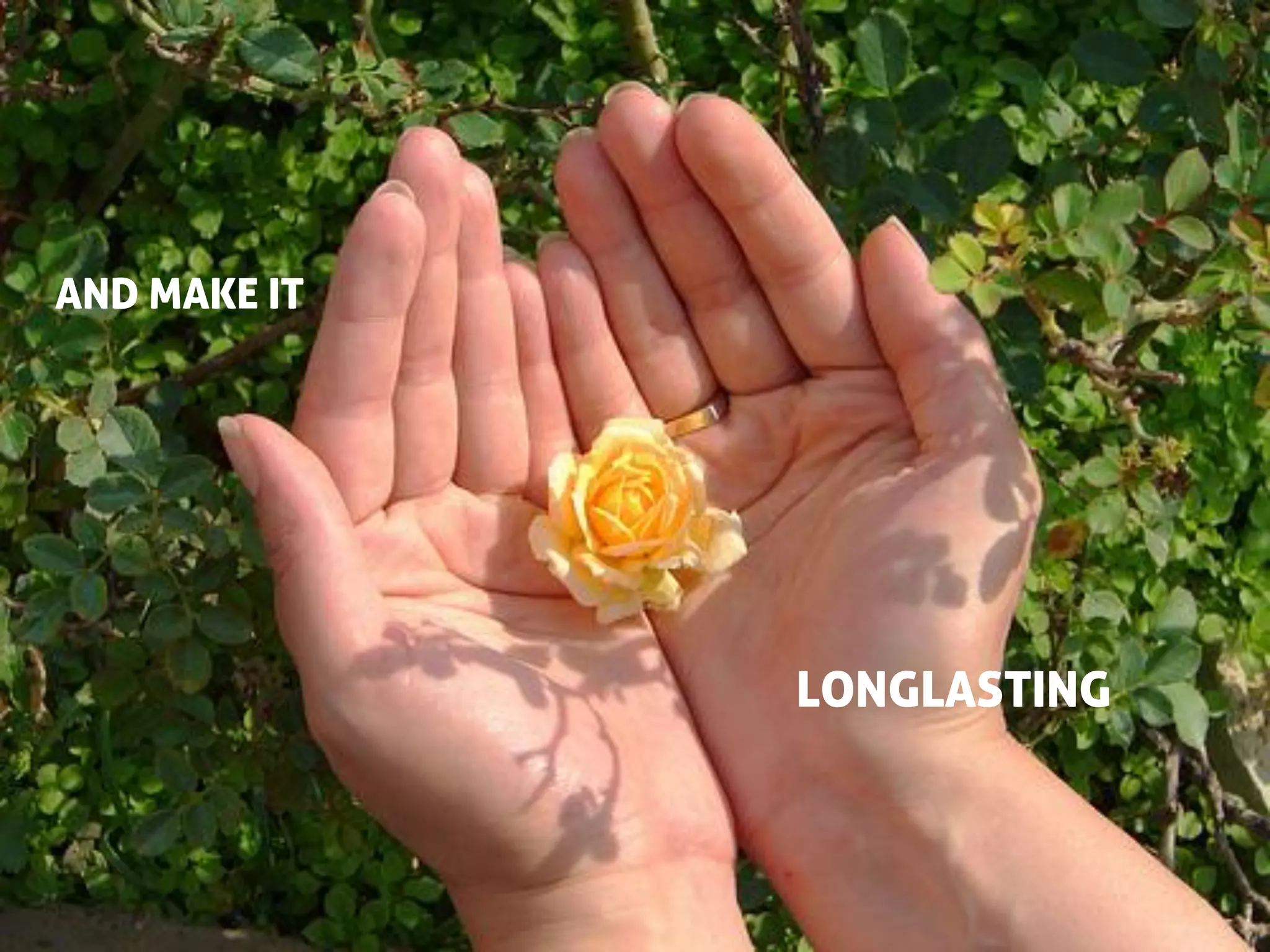 AND MAKE IT




              LONGLASTING
 