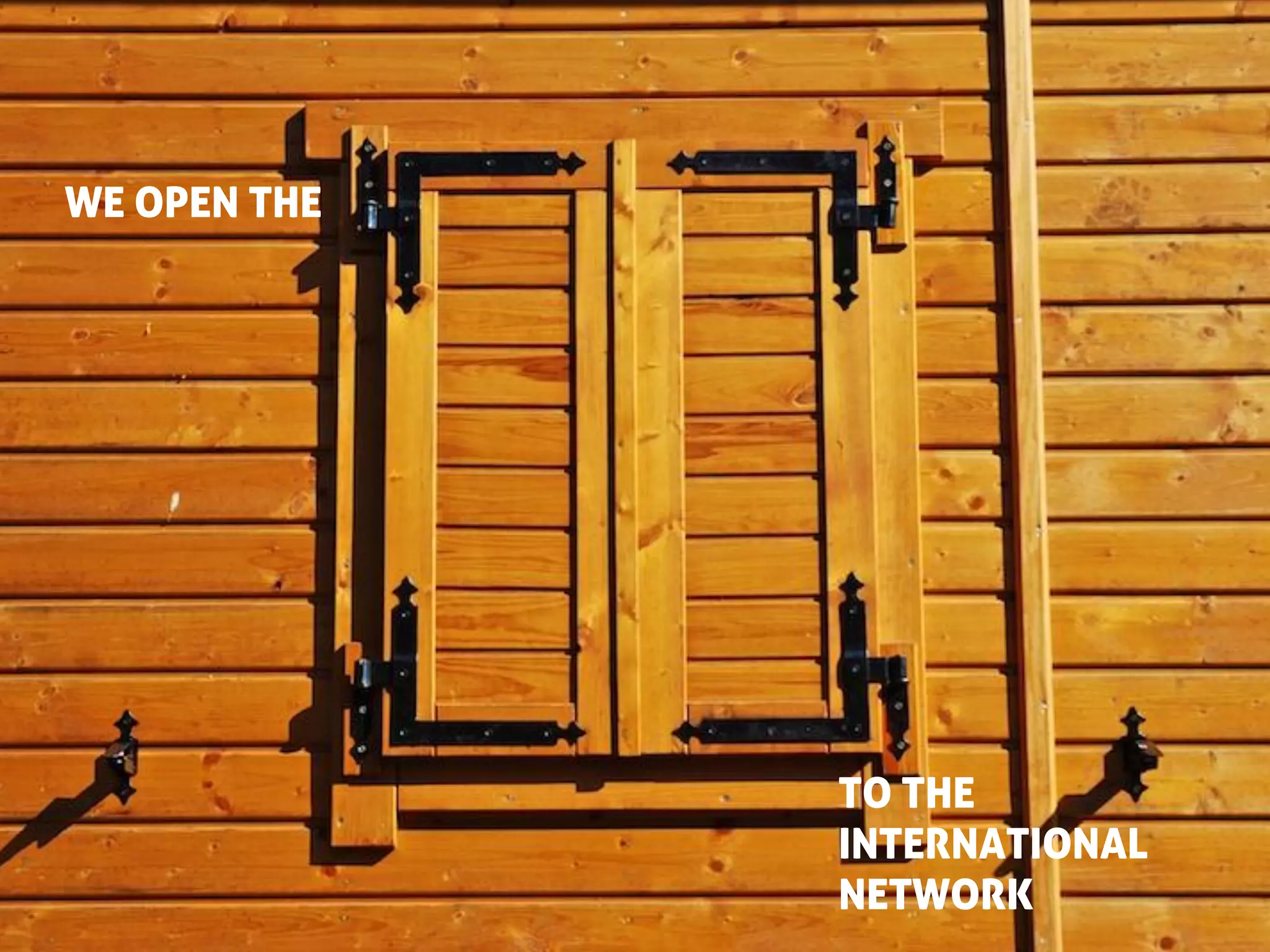 WE OPEN THE




              TO THE
              INTERNATIONAL
              NETWORK
 