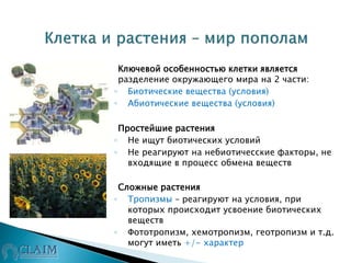  Ключевой особенностью клетки является
разделение окружающего мира на 2 части:
◦ Биотические вещества (условия)
◦ Абиотические вещества (условия)
 Простейшие растения
◦ Не ищут биотических условий
◦ Не реагируют на небиотичесские факторы, не
входящие в процесс обмена веществ
 Сложные растения
◦ Тропизмы – реагируют на условия, при
которых происходит усвоение биотических
веществ
◦ Фототропизм, хемотропизм, геотропизм и т.д.
могут иметь +/- характер
 