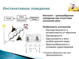 Инстинкт – целесообразное
поведение при отсутствии
осознания цели
Особенности инстинктов:
 Наследственность и
независимость от обучения
 Однородность
 Одинаковость у всех
особей данного вида
 Приспособленность к
условиям существования
? Сложно объяснить как они
сформировались
 