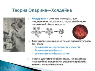  Коацерваты – сложные молекулы, для
поддержания состояния которых необходим
постоянный обмен веществ
 Возникновению жизни на Земле предшествовало
три этапа:
◦ Возникновение органических веществ
◦ Возникновение белков
◦ Возникновение белковых тел
 Теория достаточно обоснована, но оказалась
неспособной предложить решение проблемы
точного воспроизведения.
 
