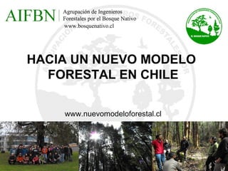 www.bosquenativo.cl




HACIA UN NUEVO MODELO
  FORESTAL EN CHILE

    www.nuevomodeloforestal.cl
 