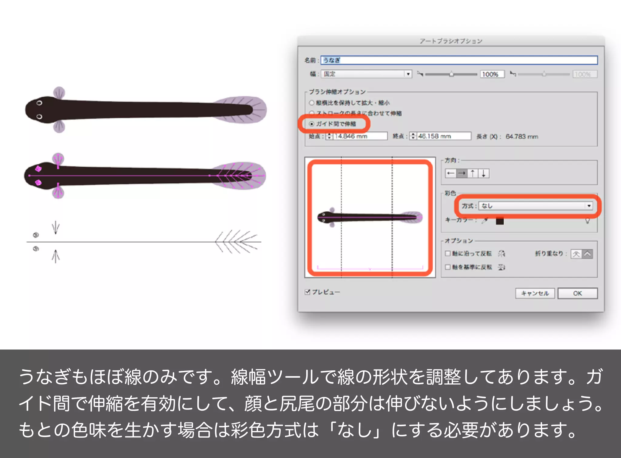 うなぎもほぼ線のみです。線幅ツールで線の形状を調整してあります。「ガ
イド間で伸縮」を有効にして、顔と尻尾の部分は伸びないようにしましょ
う。もとの色味を生かしたいので彩色方式は「なし」にしてあります。
 