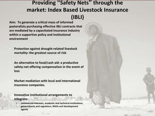 Sustainable and productive farming systems: The livestock sector 