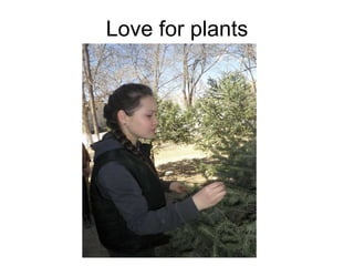 Love for plants 