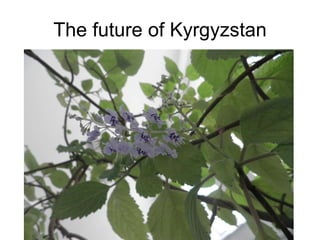 The future of Kyrgyzstan 