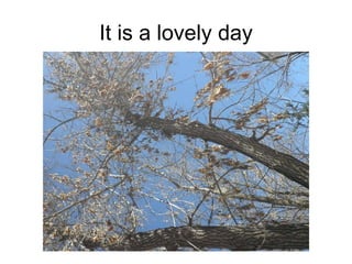 It is a lovely day 