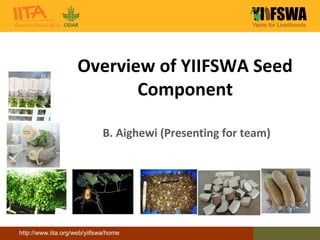 http://www.iita.org/web/yiifswa/home
Overview of YIIFSWA Seed
Component
B. Aighewi (Presenting for team)
 