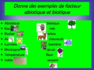 Donne des exemples de facteur abiotique et biotique Abiotique  biotique Eau  rats Rocher  arbre Air  chevreuils Lumière  bactérie Montagne  grues Température  fleur Sable  serpent 
