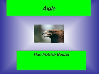 Aigle Par: Patrick Boutot 