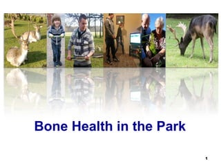 Bone Health in the Park 