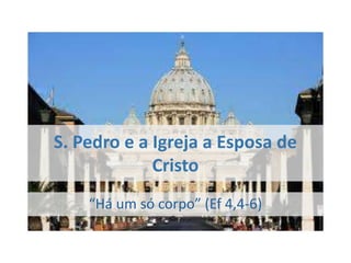 S. Pedro e a Igreja a Esposa de
             Cristo
    “Há um só corpo” (Ef 4,4-6)
 
