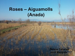 Roses – Aiguamolls
(Anada)
Selene Cabanas
Jordi Marquès
 