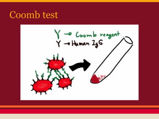 Coomb test
 