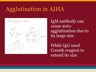 Agglutination in AIHA
IgM antibody can
cause auto-
agglutination due to
its large size
While IgG need
Coomb reagent to
extend its size
 