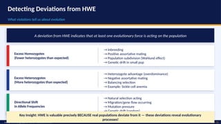Hwe Example AI Hardy_Weinberg_Equilibrium_Seminar.pptx