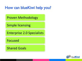 How can blueKiwi help you? 