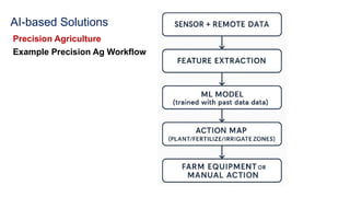 AI-based Solutions
Precision Agriculture
Example Precision Ag Workflow
 