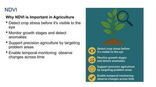 NDVI
Why NDVI is Important in Agriculture
 Detect crop stress before it's visible to the
eye
 Monitor growth stages and detect
anomalies
 Support precision agriculture by targeting
problem areas
 Enable temporal monitoring: observe
changes across time
 