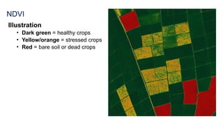 NDVI
Illustration
• Dark green = healthy crops
• Yellow/orange = stressed crops
• Red = bare soil or dead crops
 