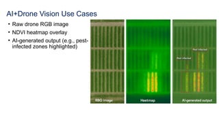 AI+Drone Vision Use Cases
• Raw drone RGB image
• NDVI heatmap overlay
• AI-generated output (e.g., pest-
infected zones highlighted)
 