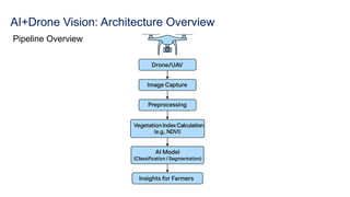 AI+Drone Vision: Architecture Overview
Pipeline Overview
 