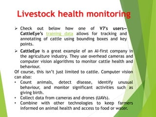 Cattle Vision Examples AI IN AGRICULTURE modified 1.pptx