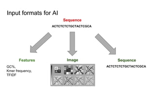Input formats for AI
ACTCTCTCTGCTACTCGCA
Sequence
ACTCTCTCTGCTACTCGCA
Sequence
ACTCTCTCTGCTACTCGCRA
Image
GC%,
Kmer frequency,
TFIDF
Features
 