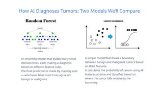 Resources
How AI Diagnoses Tumors: Two Models We’ll Compare
A simple model that draws a boundary
between benign and malignant tumors based
on their features.
It calculates the probability of cancer using all
features at once and classifies based on
where the tumor falls relative to the
boundary.
An ensemble model that builds many small
decision trees, each making a diagnosis
based on different feature rules.
The final prediction is made by majority vote
— whichever label most trees agree on:
benign or malignant.
 