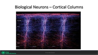 Biological	Neurons	– Cortical	Columns
Ivy	Data	Science						AI	with	Applications	v0.10							Peter	Morgan				
Dec	2016
5©	Ivy	Data	Science
 