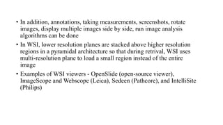 Wsi Example AI IN PATH final PPT.pptx