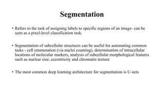 AI IN PATH final PPT.pptx